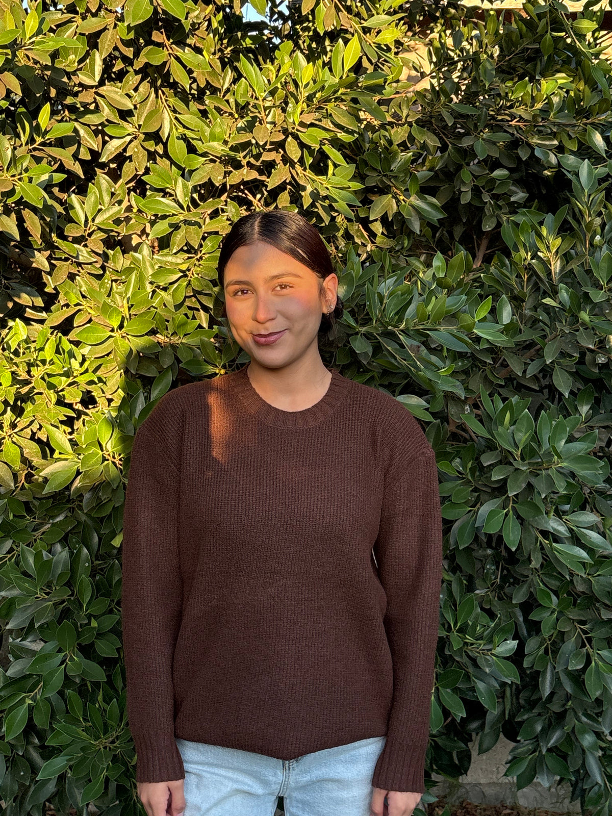 Chocolate Brown Knit Sweater